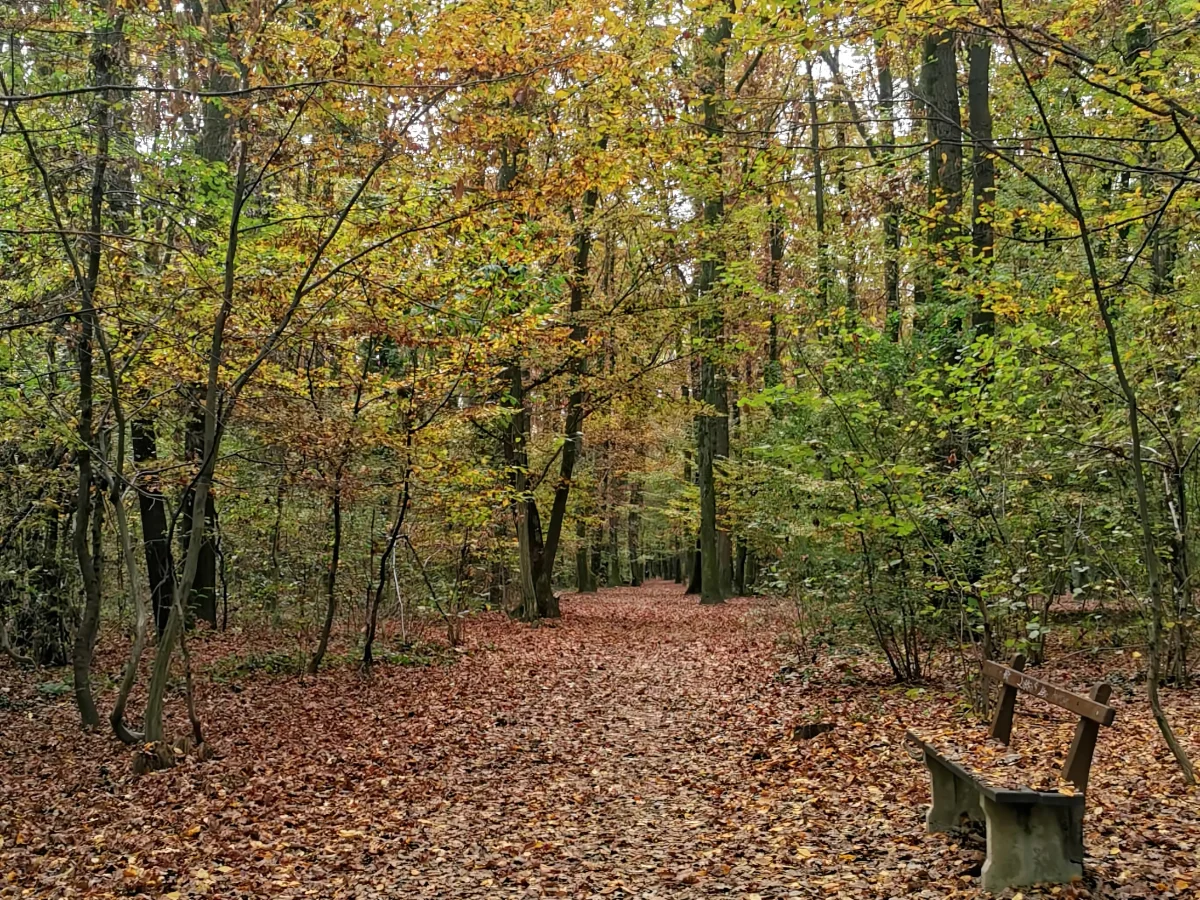 Autumn in Zagreb